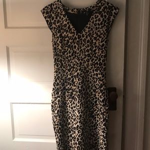 Leopard print v neck dress